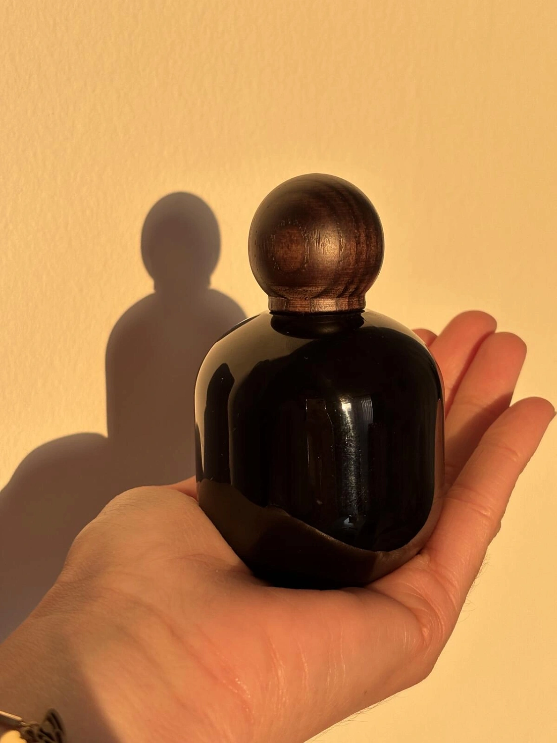 The Vagabond Prince Bass Solo