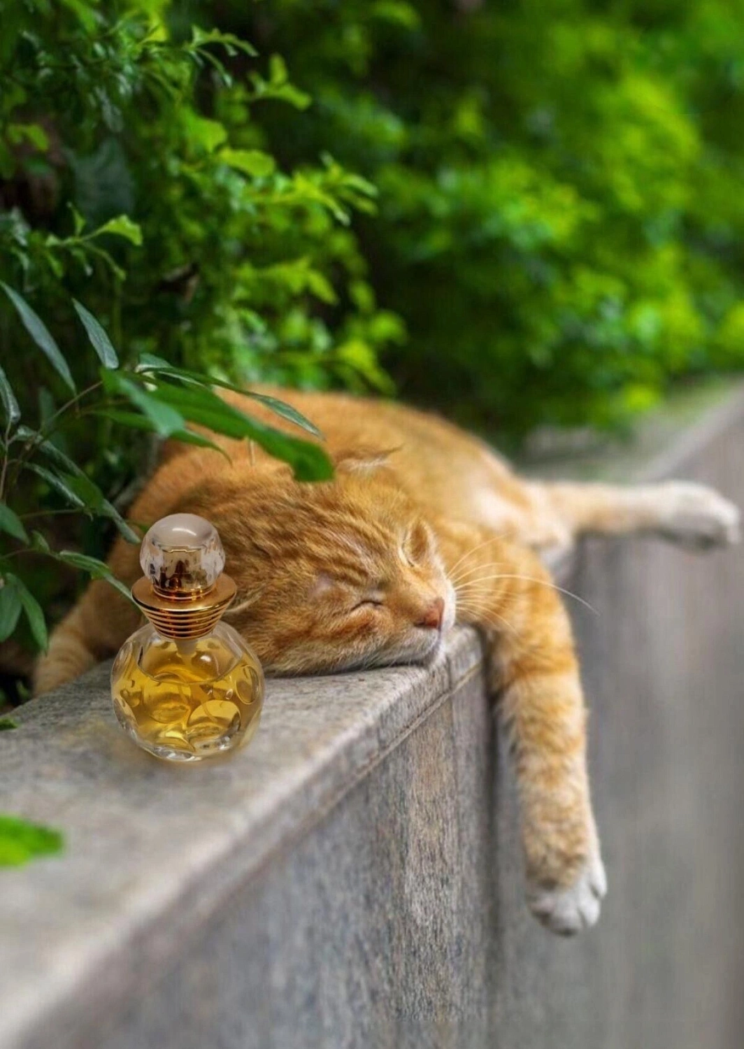 Christian Dior Dolce Vita