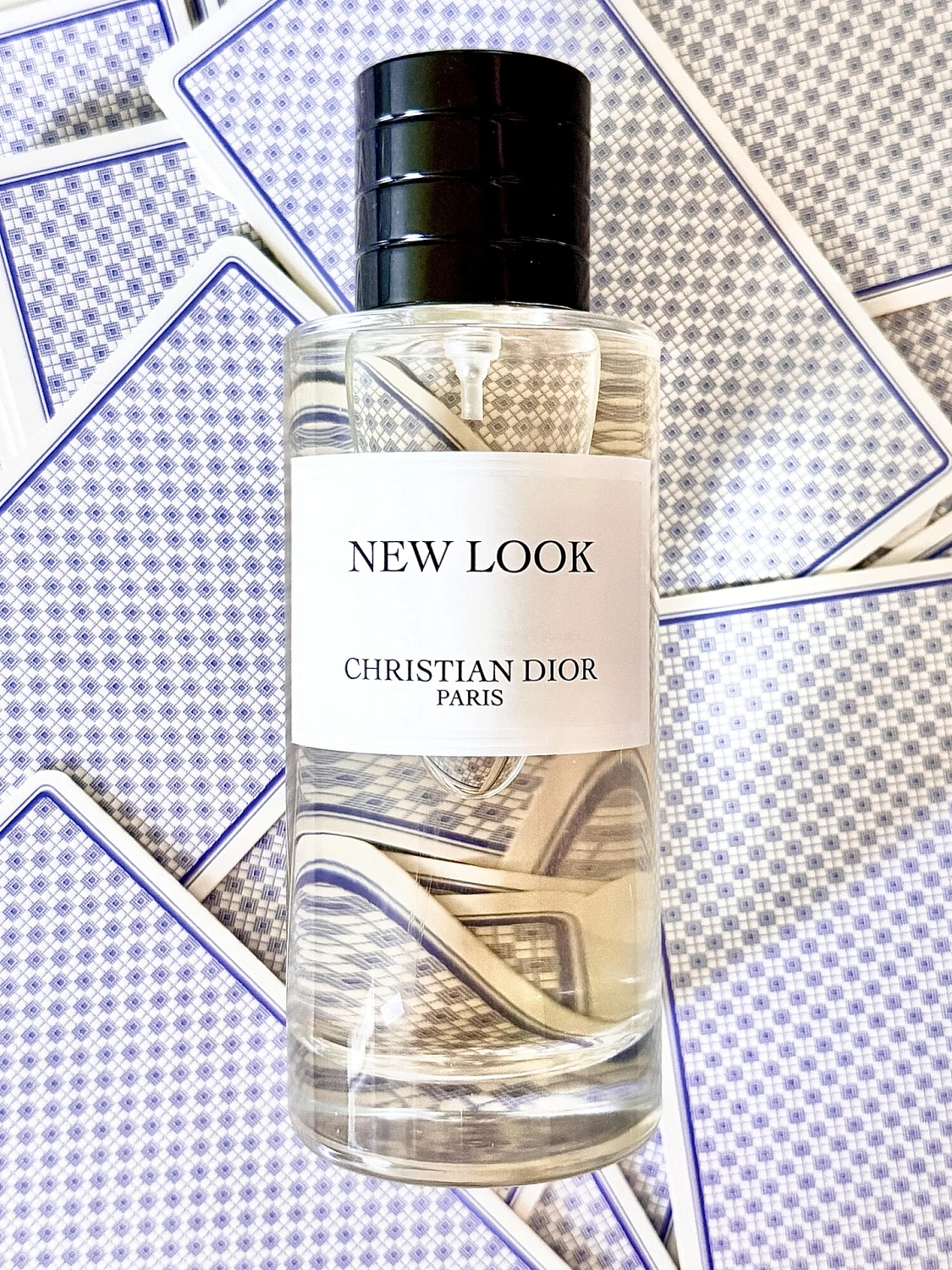 Christian Dior New Look 2024