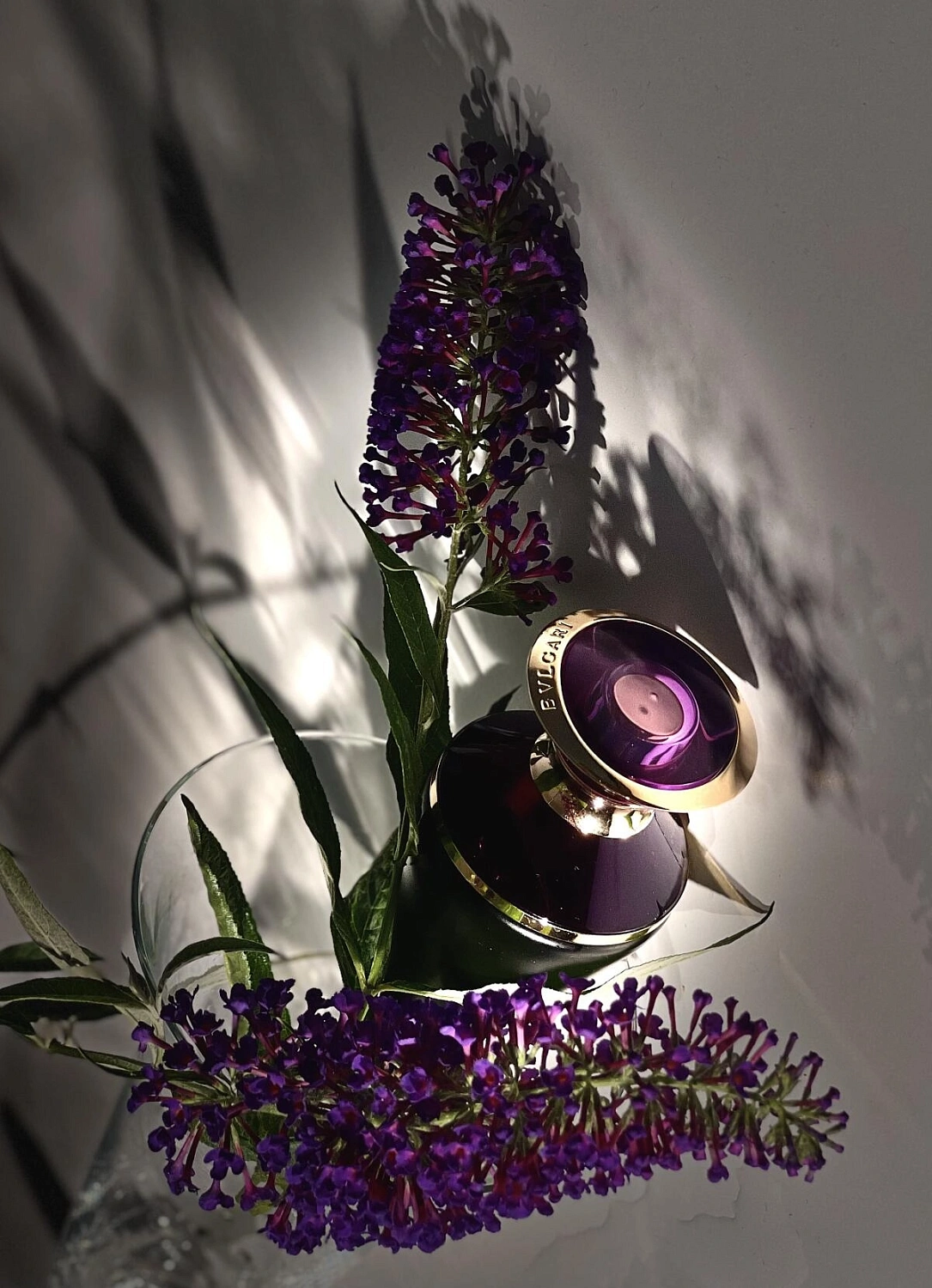 BVLGARI Ashlemah BVLGARI Ashlemah