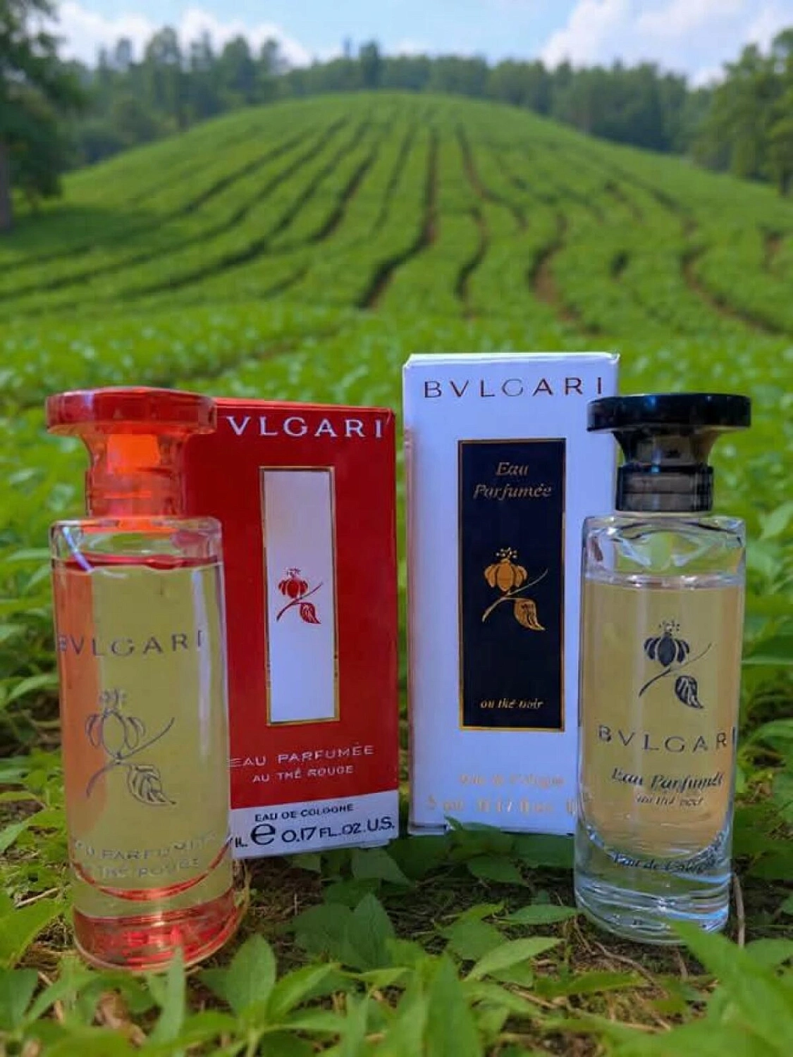 BVLGARI Eau Parfumee Au The Rouge