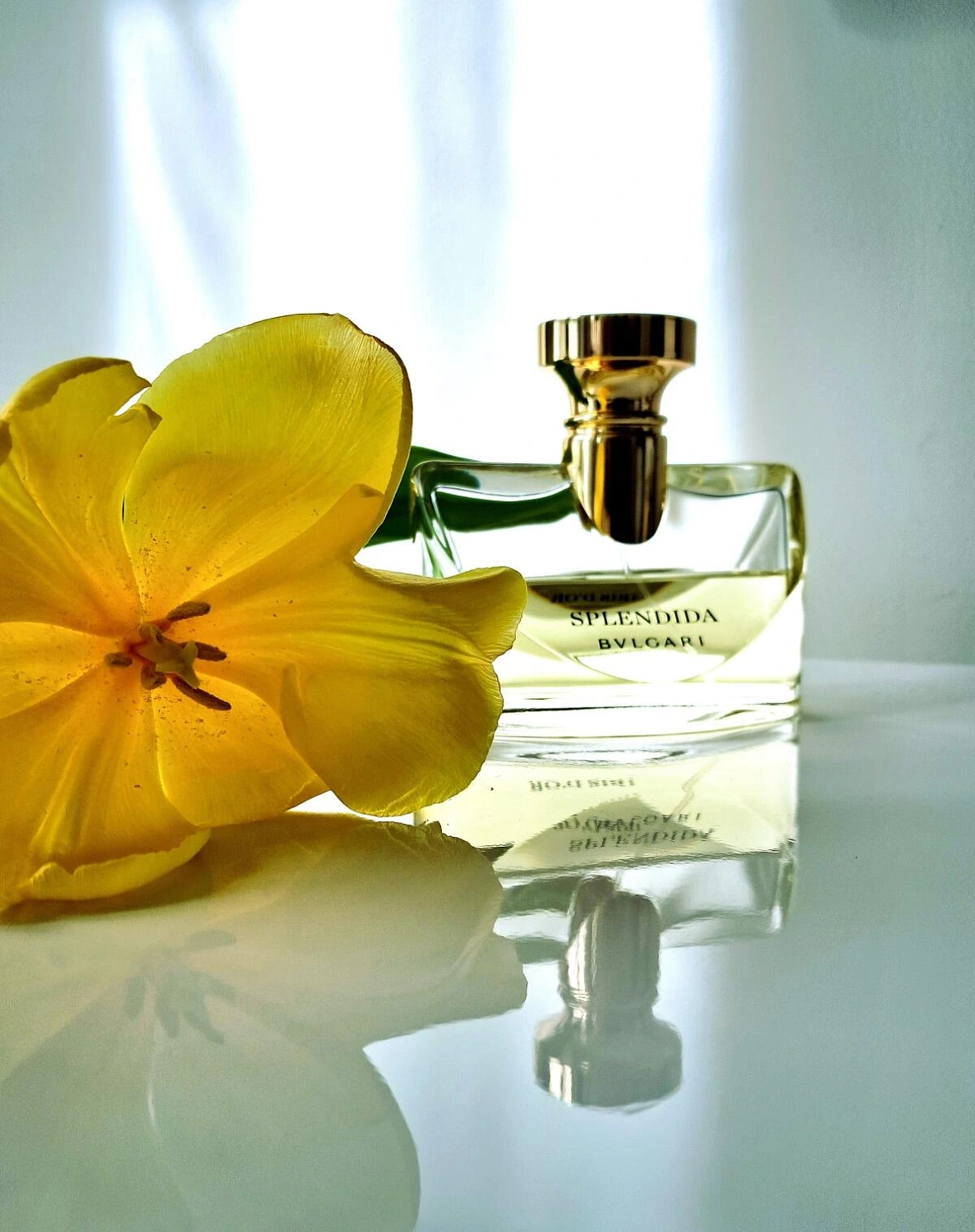 BVLGARI Splendida Iris d’Or