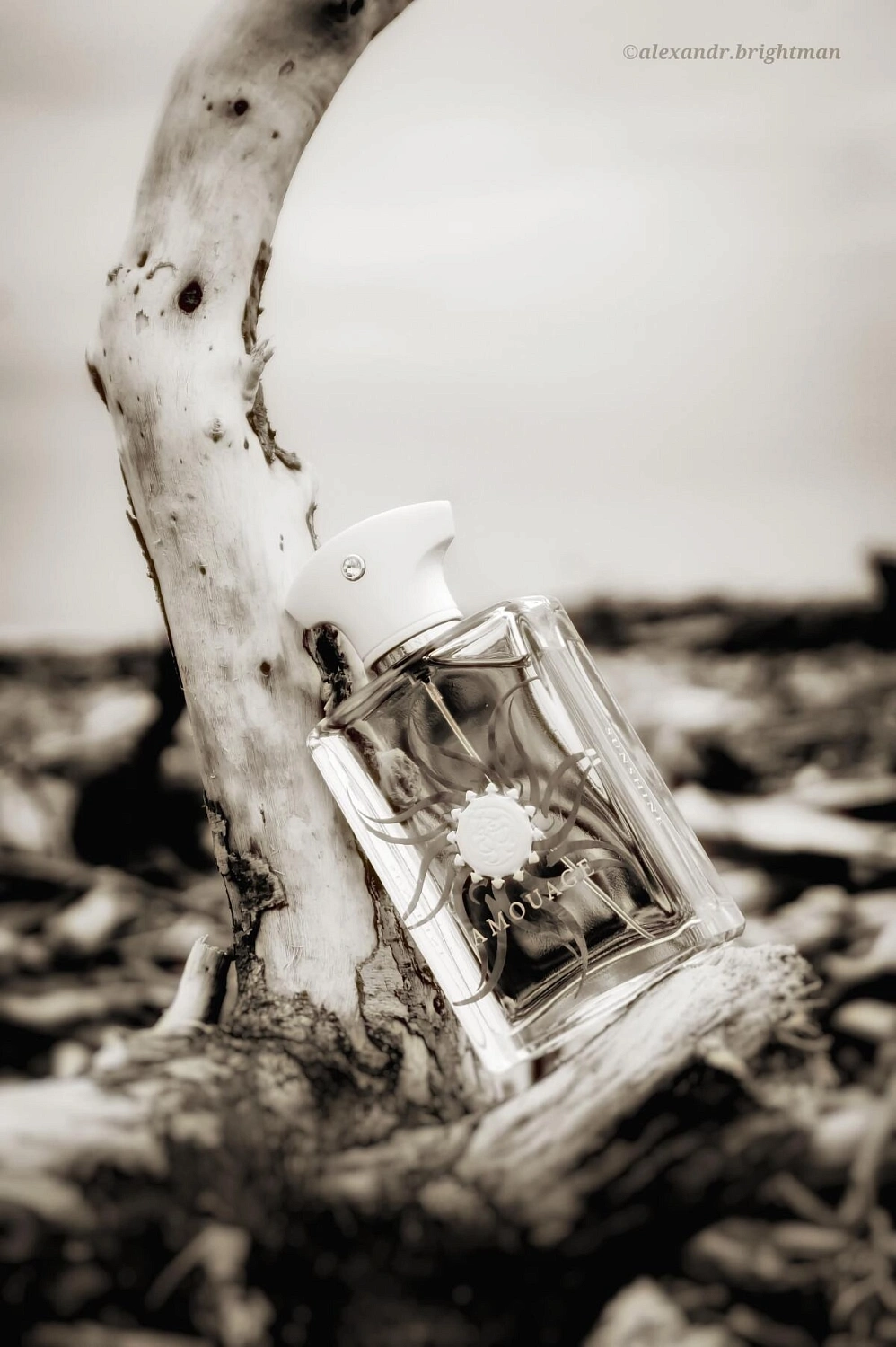 Amouage Sunshine Man