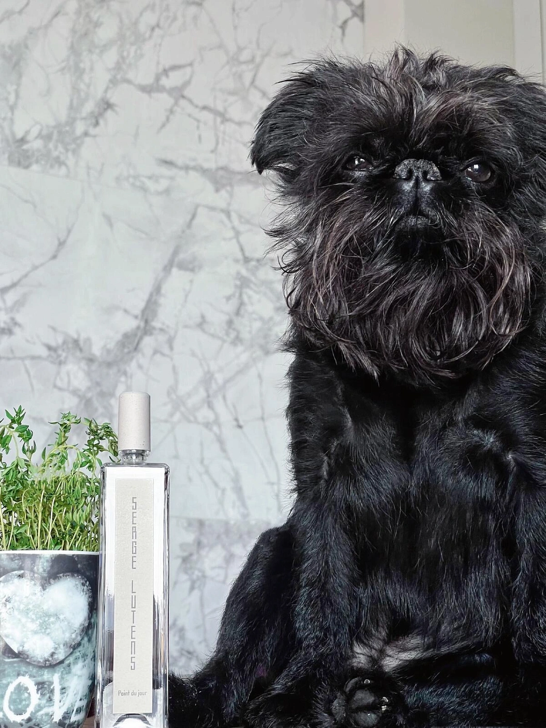 Serge Lutens Point Du Jour