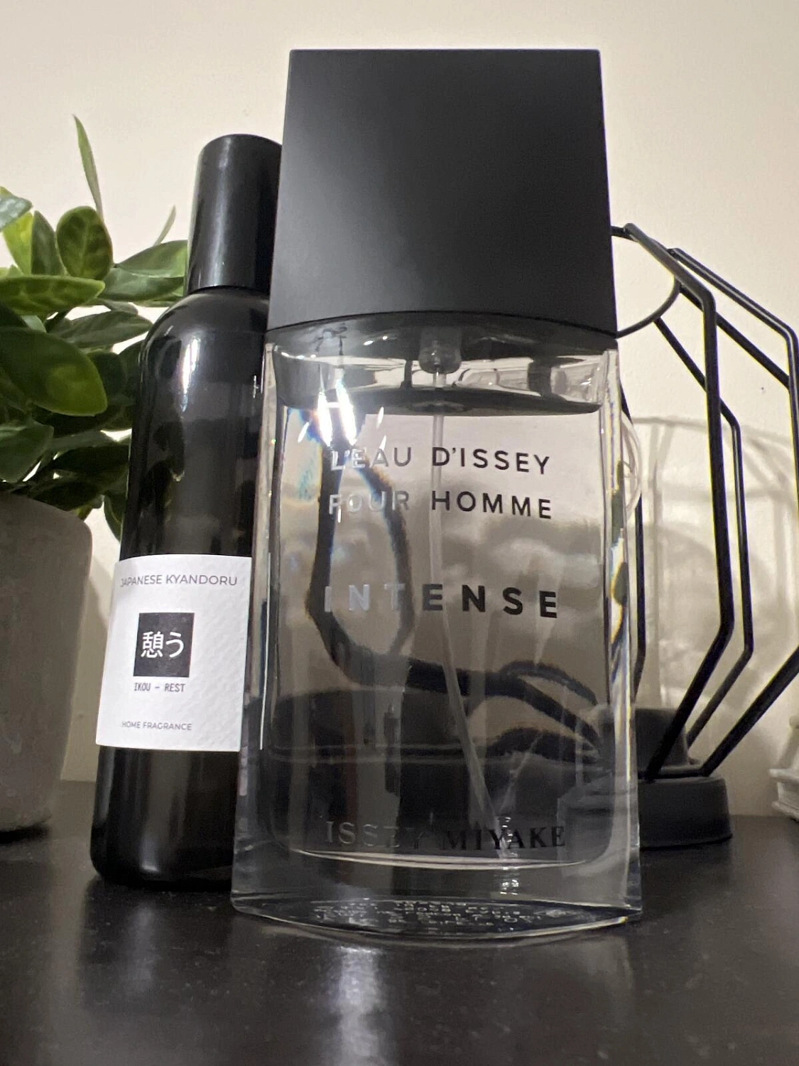 Issey Miyake L'eau d'Issey pour Homme Intense