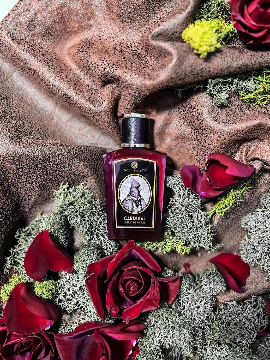 Zoologist Perfumes Northern Cardinal