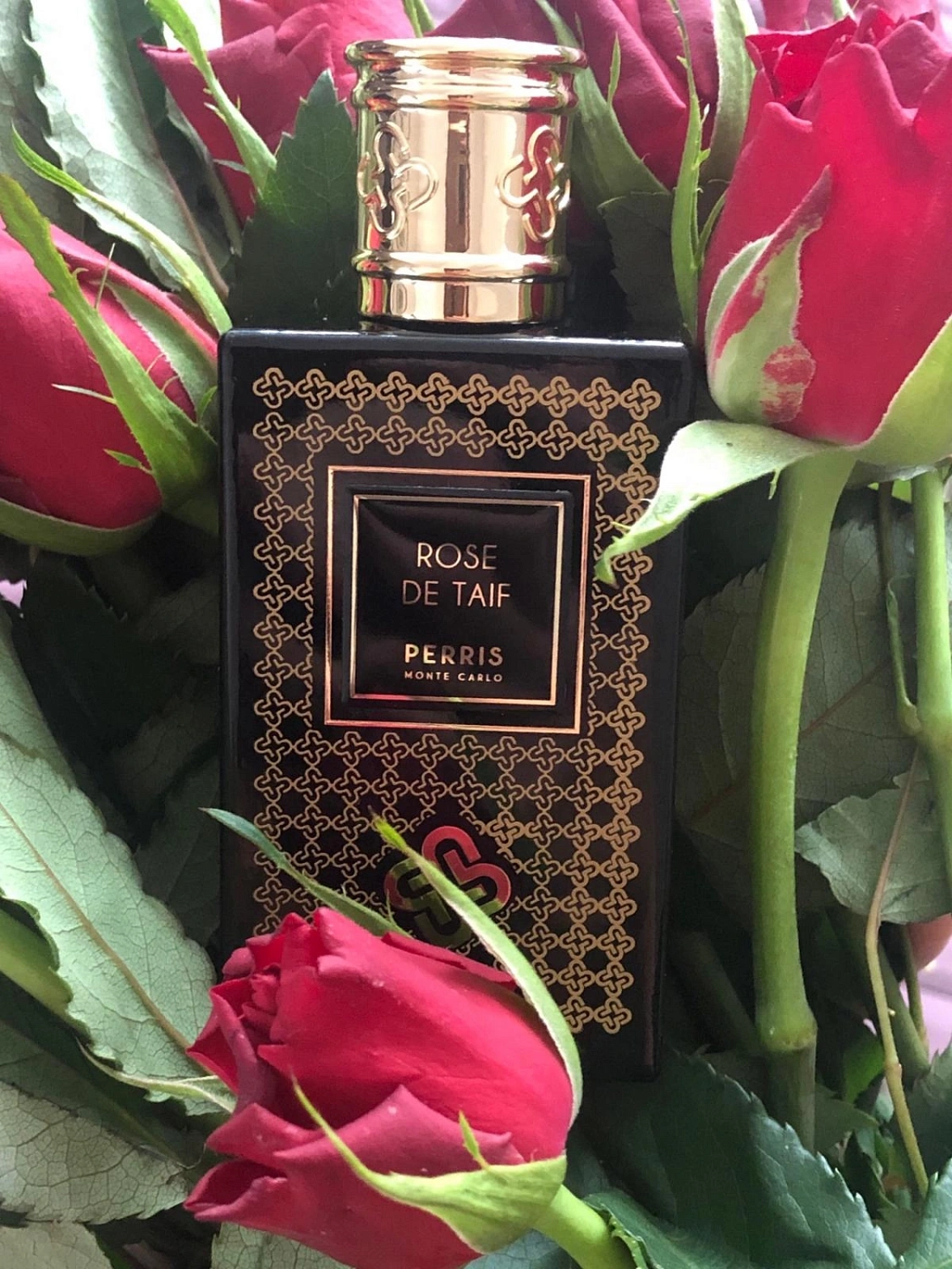 Perris Monte Carlo Rose de Taif Perris Monte Carlo Rose de Taif