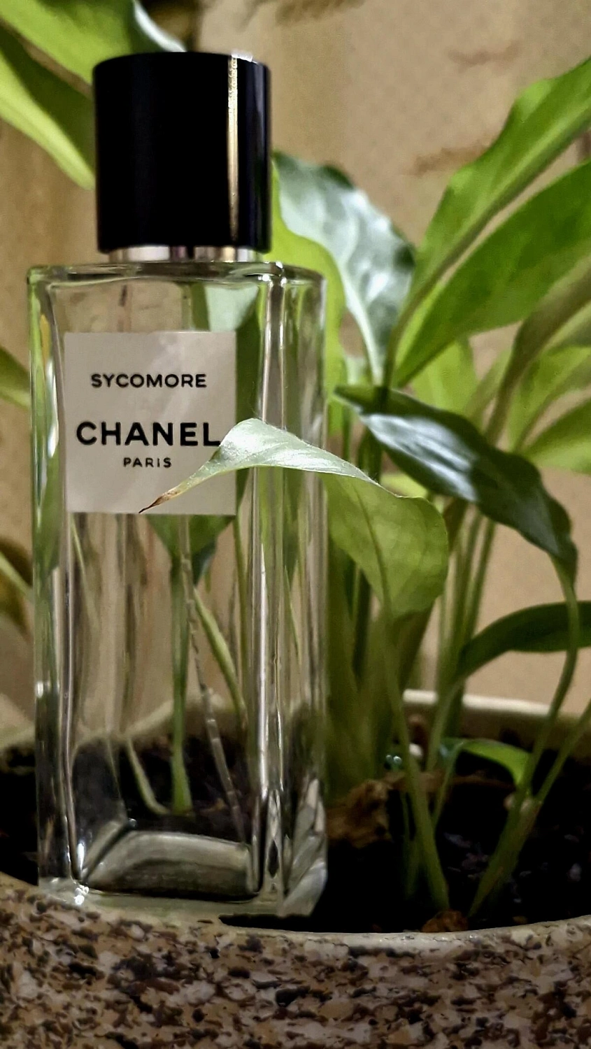 Chanel Sycomore
