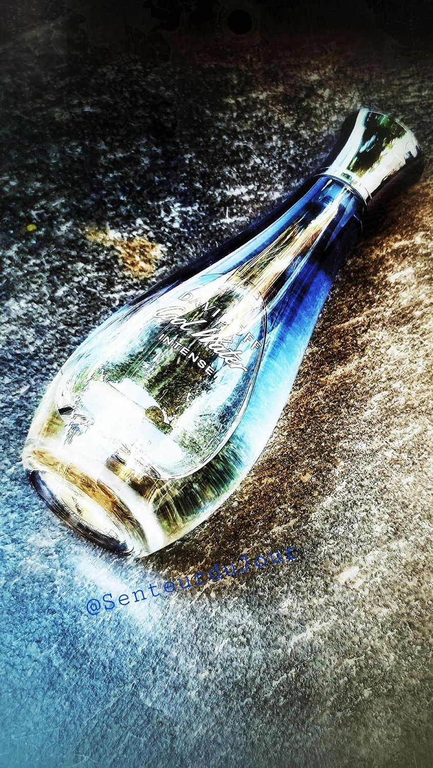 Davidoff Cool Water Intense for Her Davidoff Cool Water Intense for Her