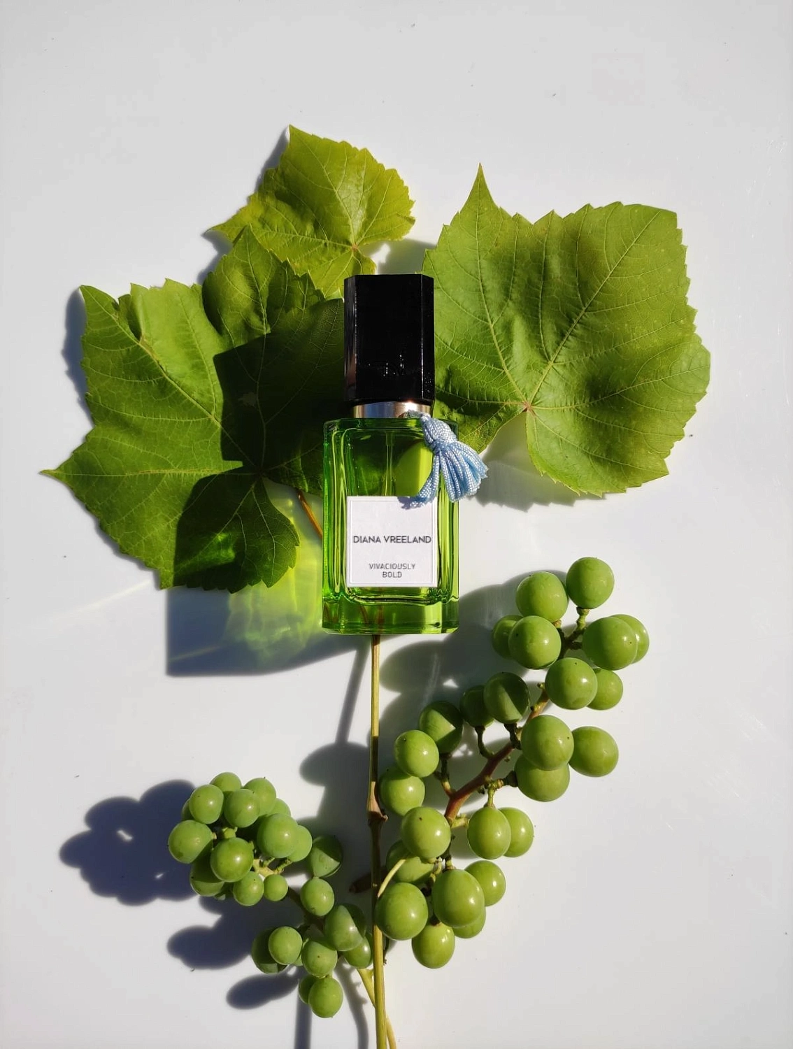 Diana Vreeland Vivaciously Bold