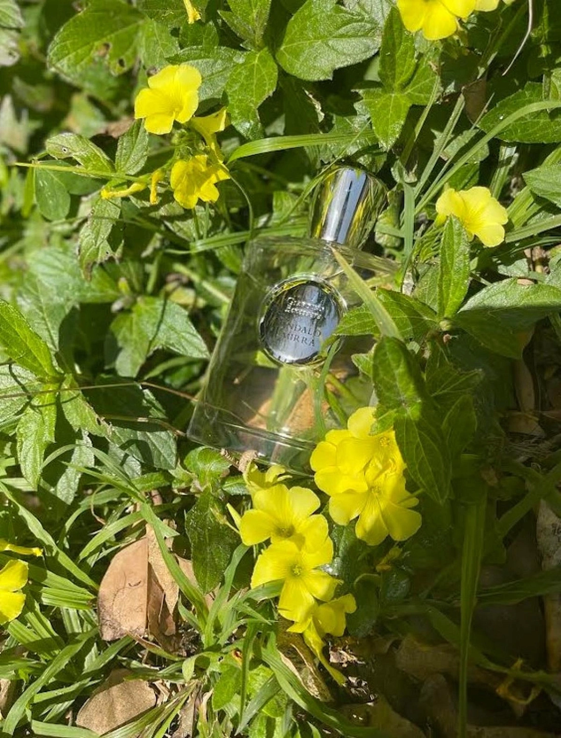 Giardino Benessere Sandalo e Mirra