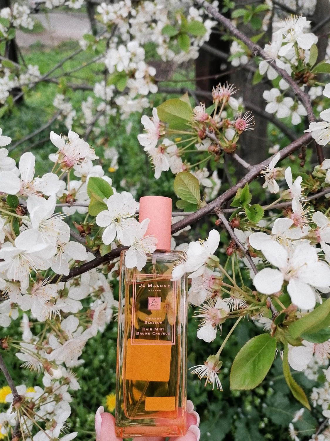 Jo Malone Orange Blossom Limited (2019)