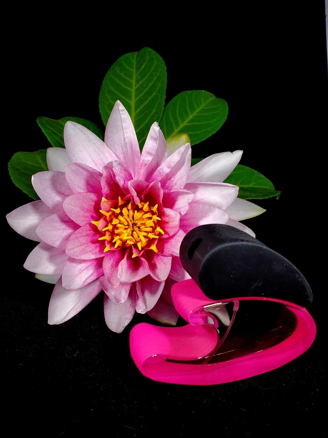 Karl Lagerfeld Lagerfeld Femme