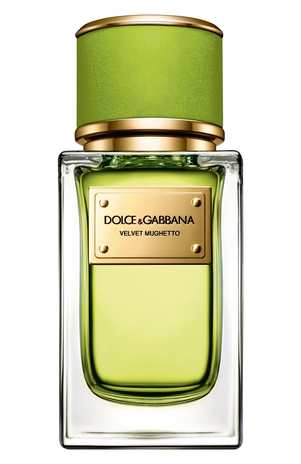 DOLCE & GABBANA Velvet Mughetto DOLCE & GABBANA Velvet Mughetto