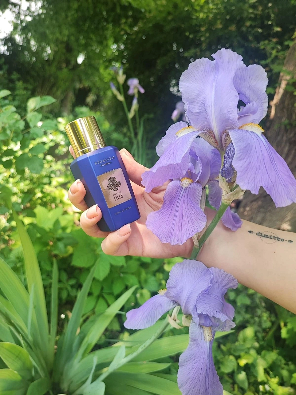 Regalien Clubs Of Iris