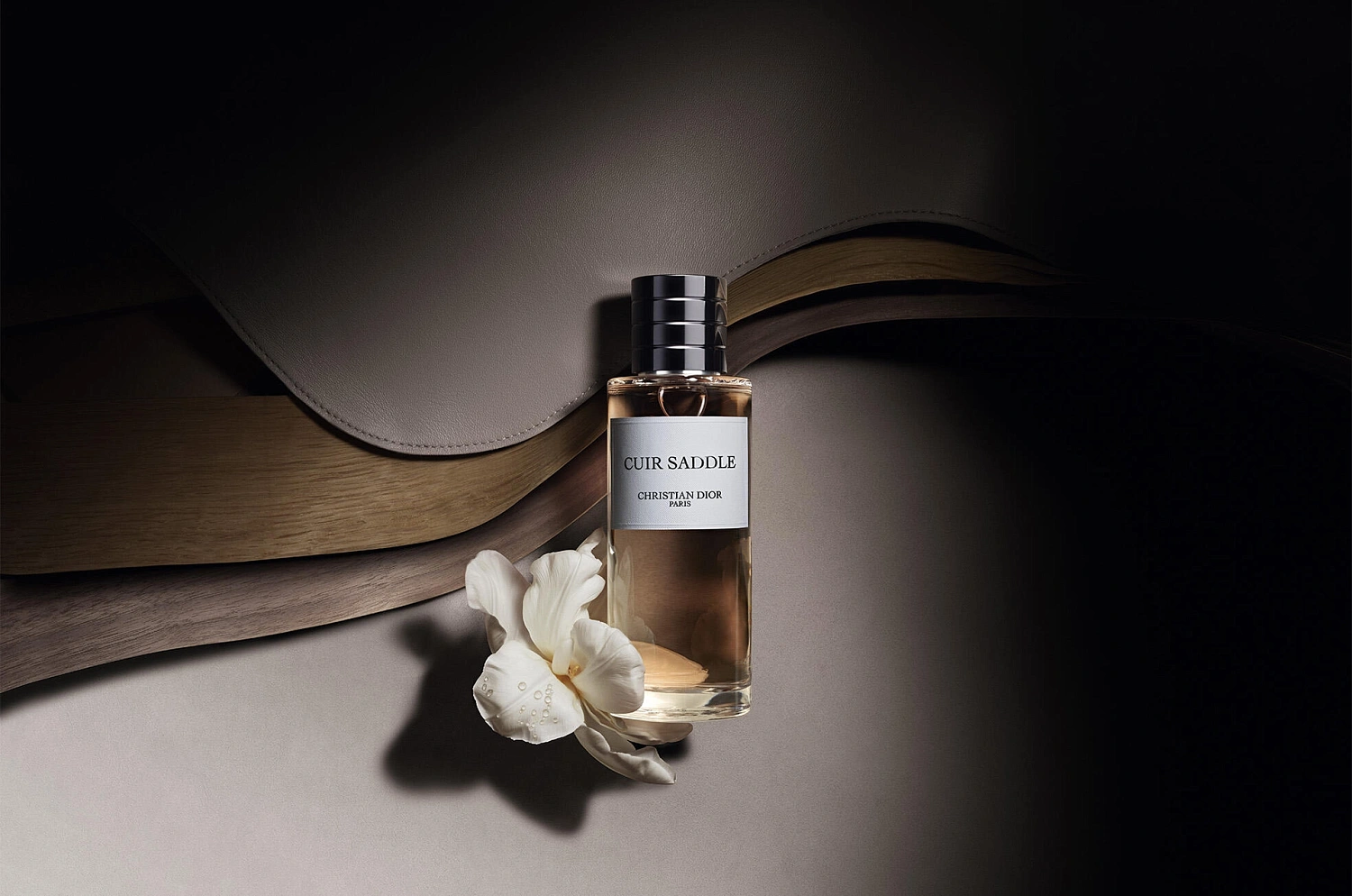 Christian Dior Cuir Saddle