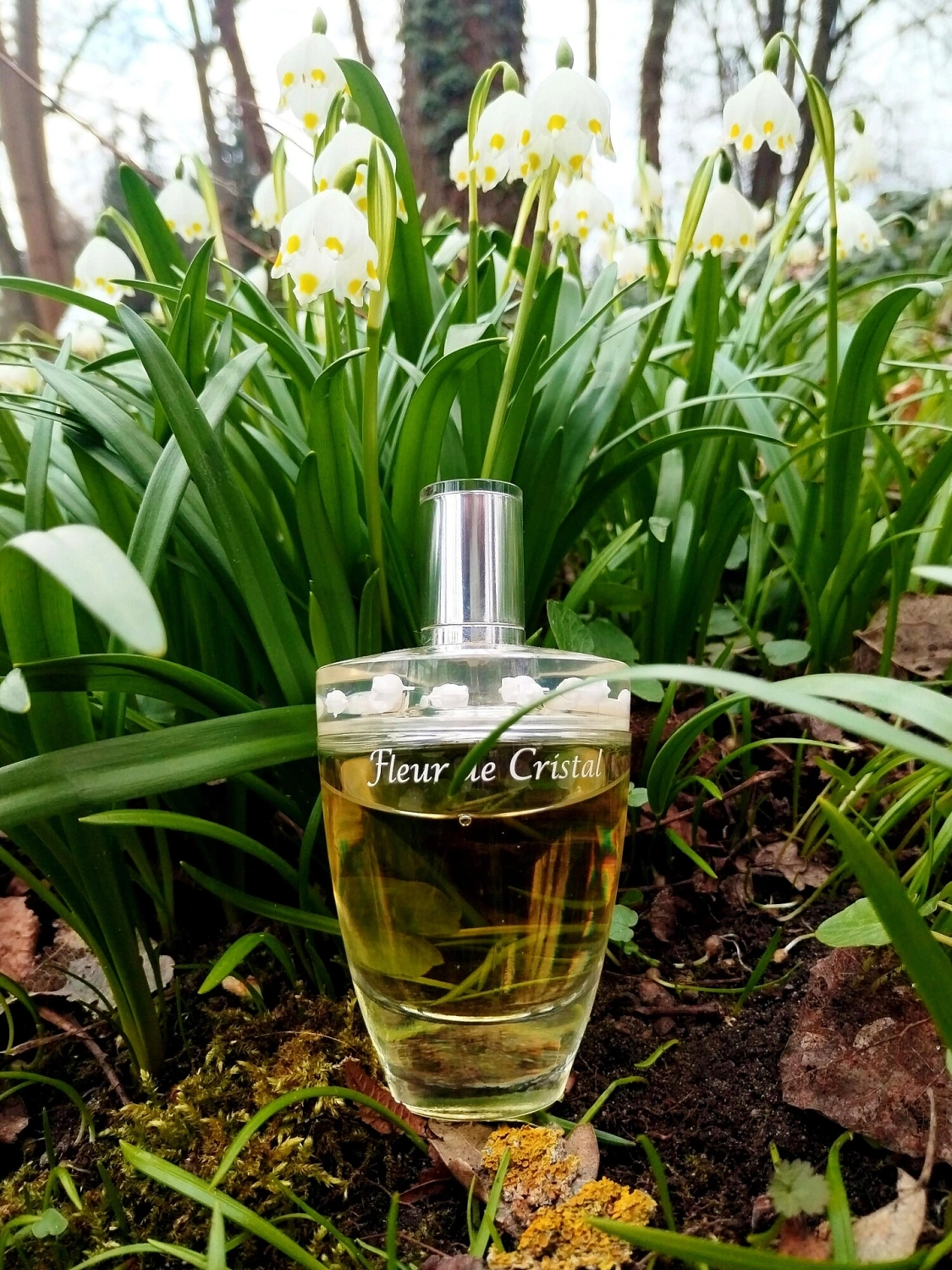 Lalique Fleur de Cristal