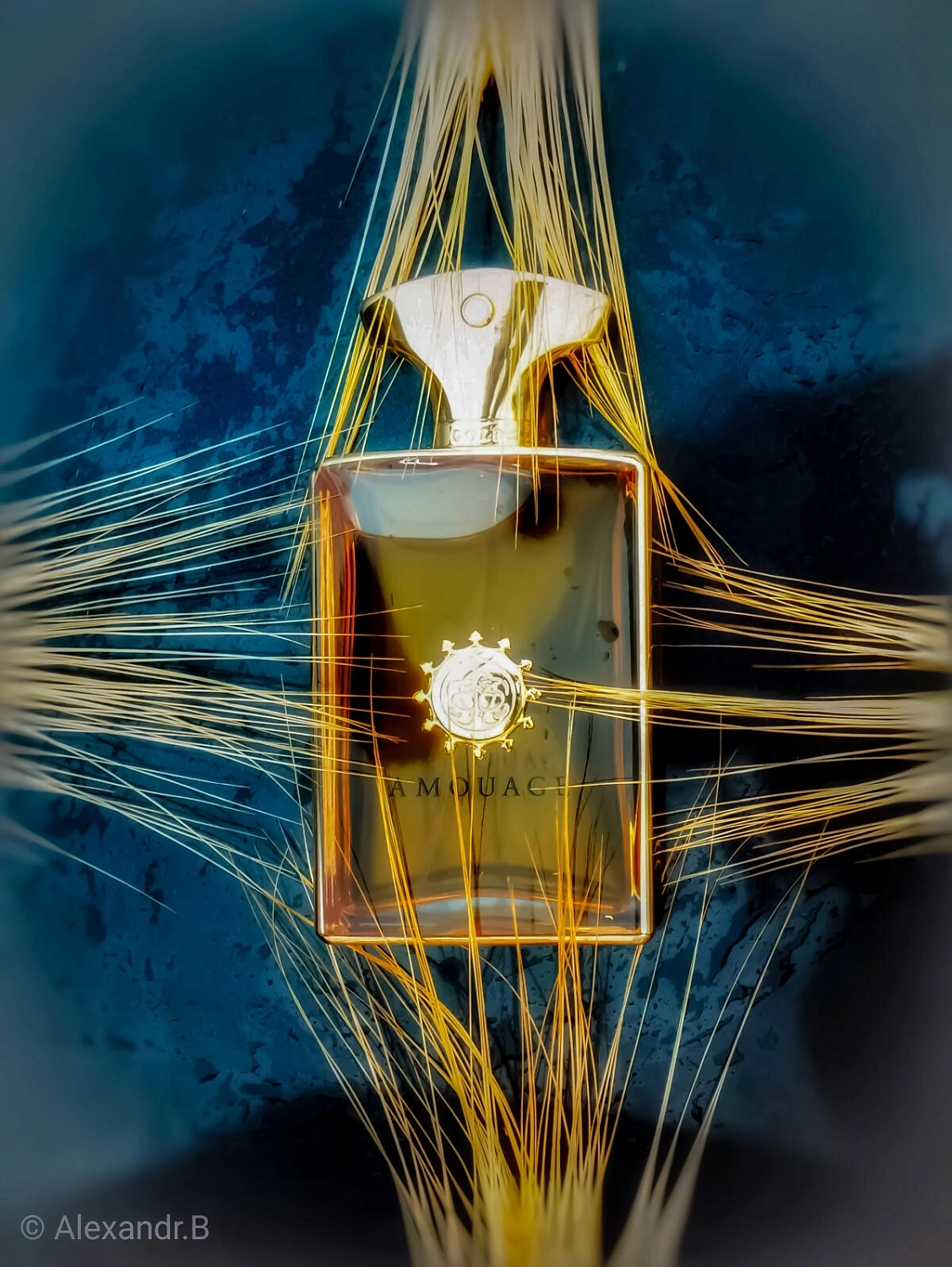 Amouage Gold Man Amouage Gold Man