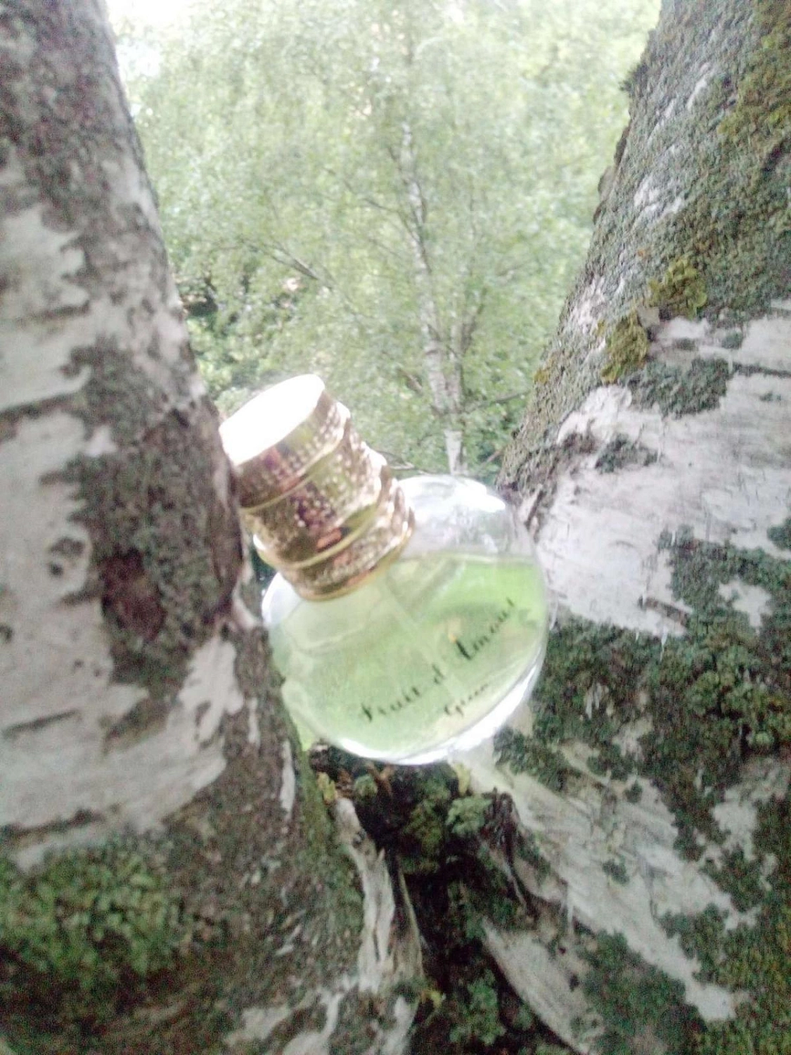 Emanuel Ungaro Fruit d'Amour Green