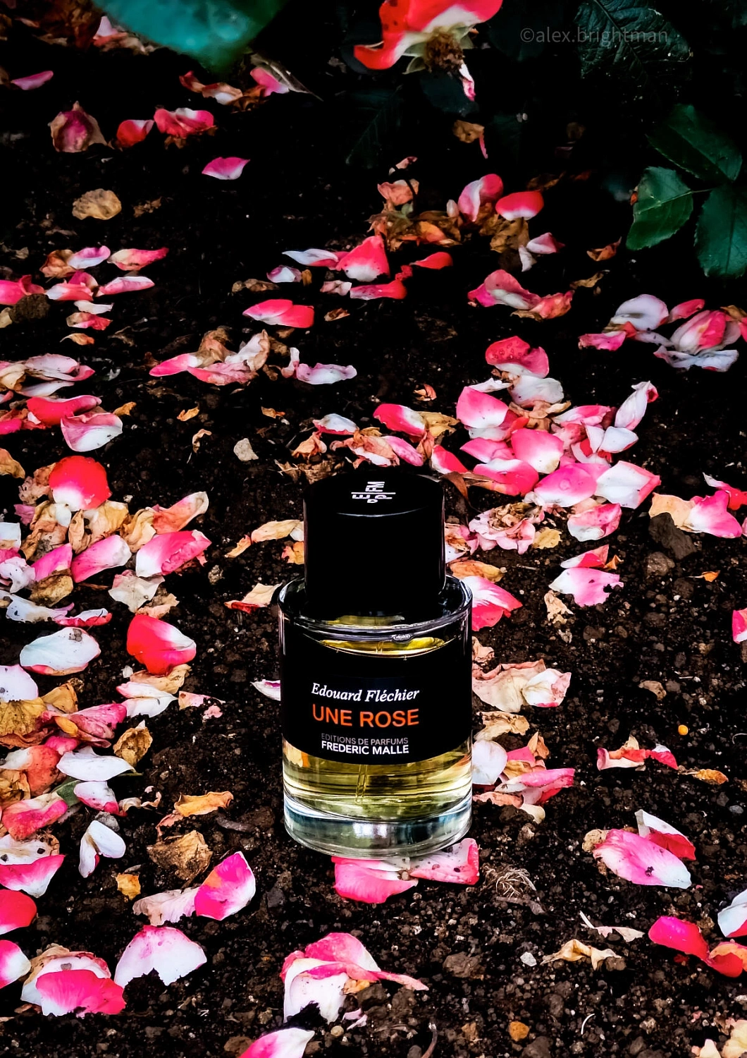 Frederic Malle Rose Tonnerre