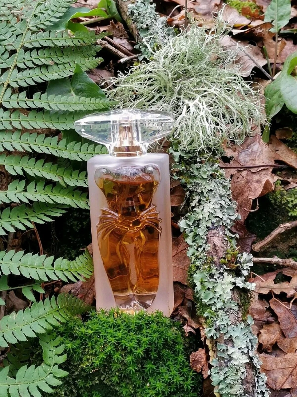 Salvador Dali La Belle et l’Ocelot