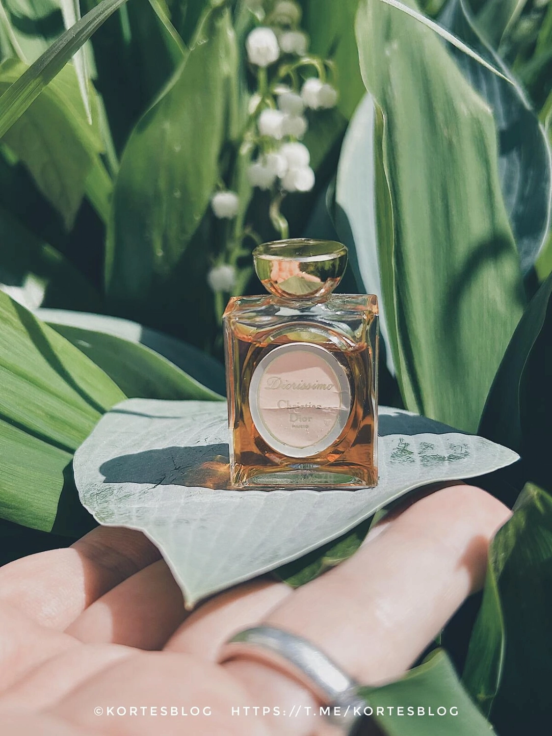 Christian Dior Diorissimo