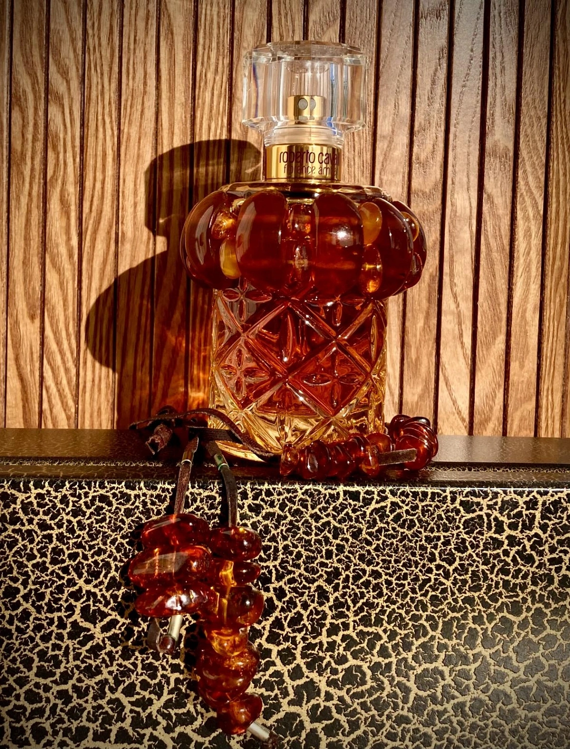 Roberto Cavalli Florence Amber