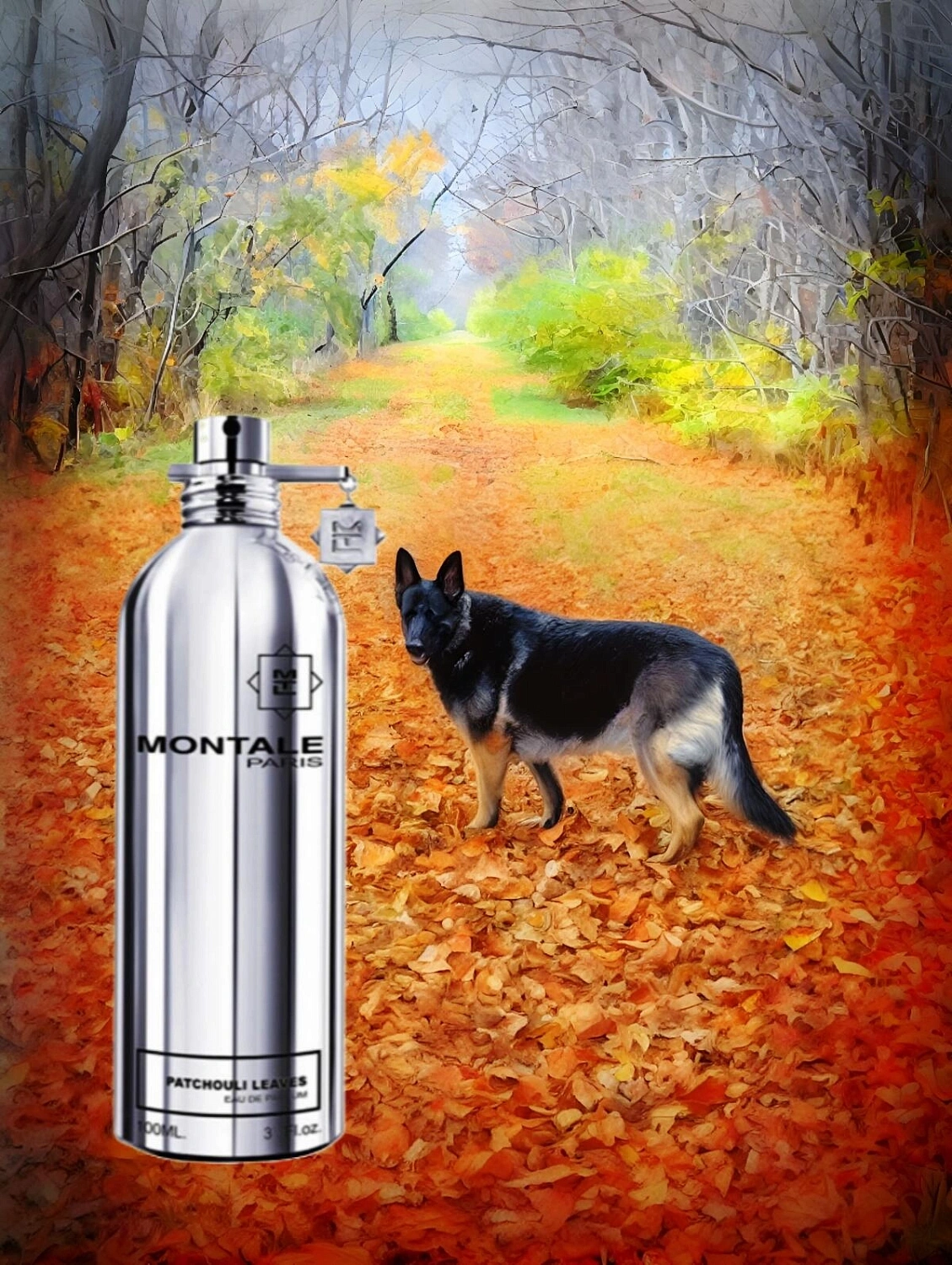 MONTALE Patchouli Leaves MONTALE Patchouli Leaves