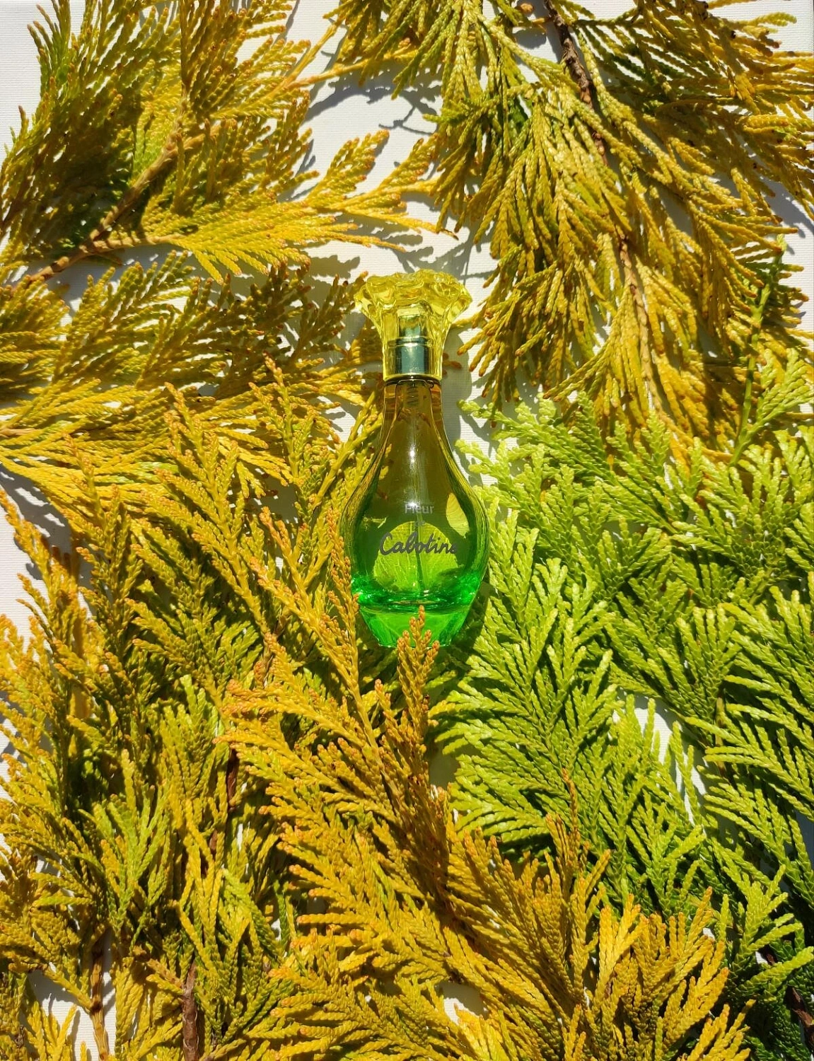 Gres Fleur De Cabotine