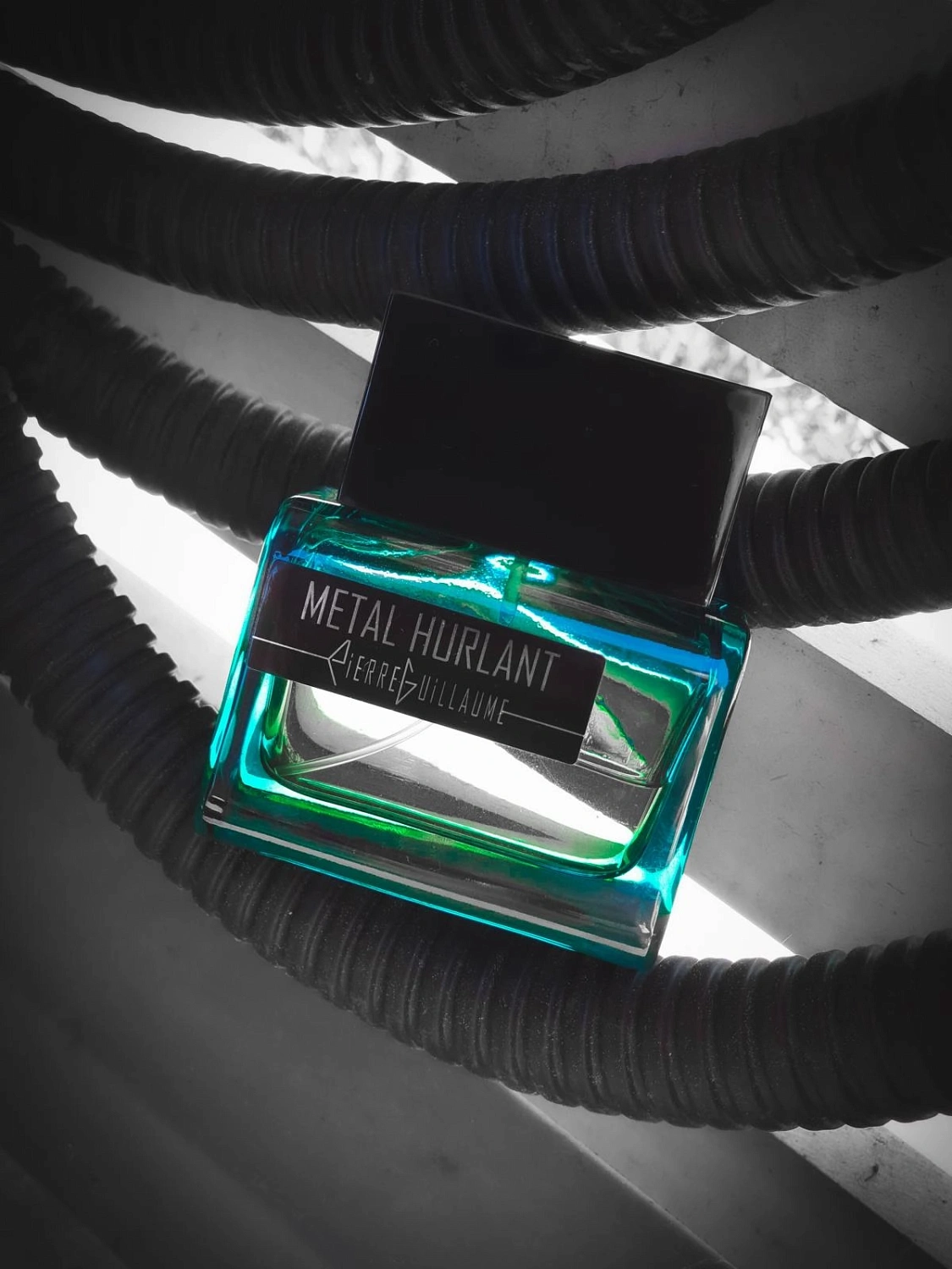 Pierre Guillaume Metal Hurlant