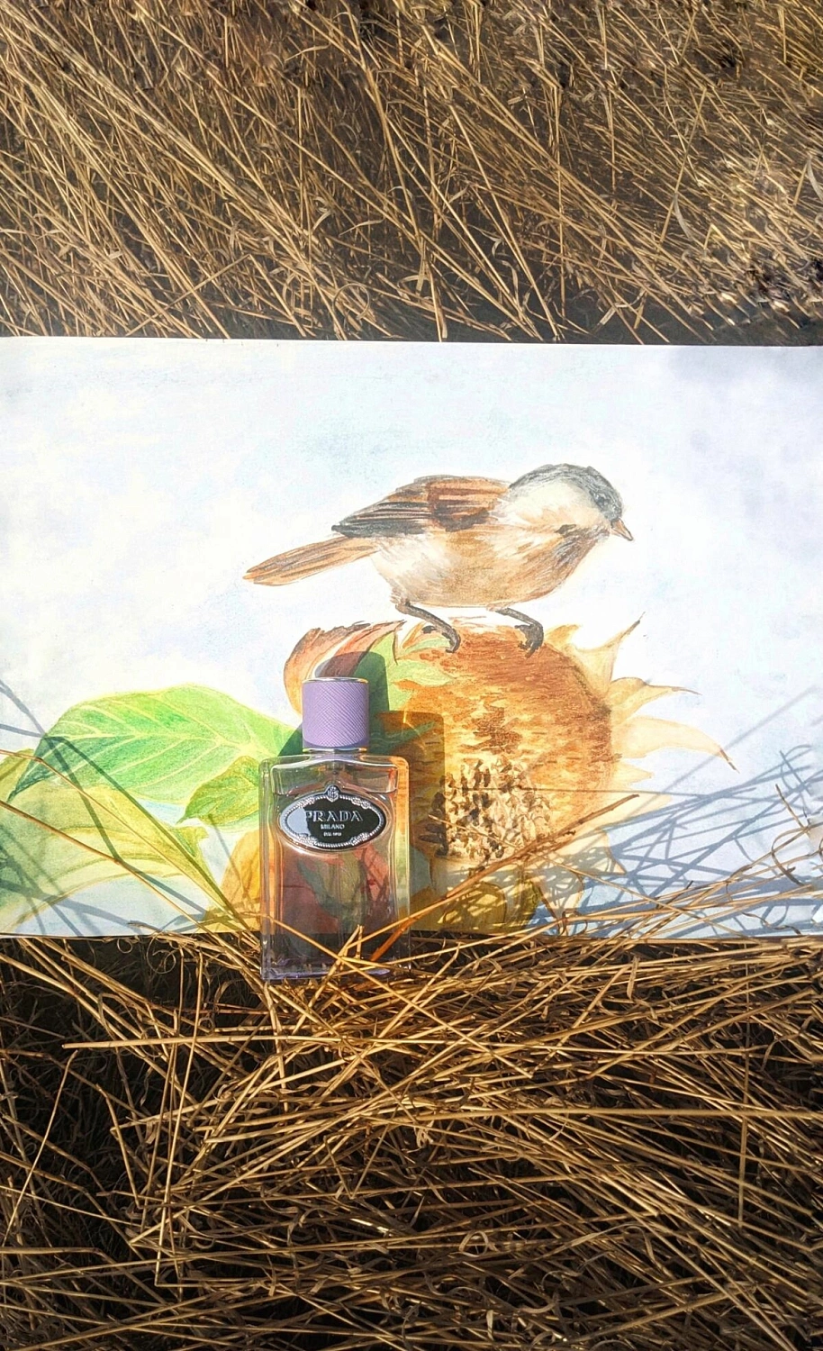 Prada Infusion de Figue