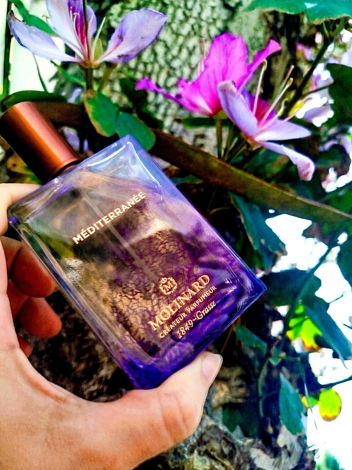 Molinard Mediterranee