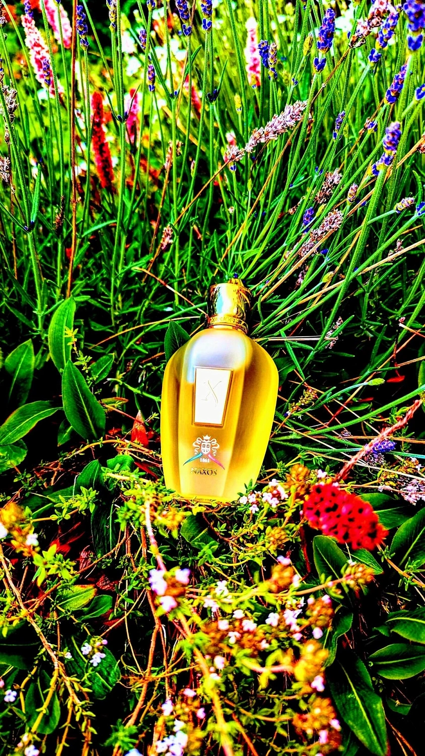 Xerjoff XJ 1861 Naxos