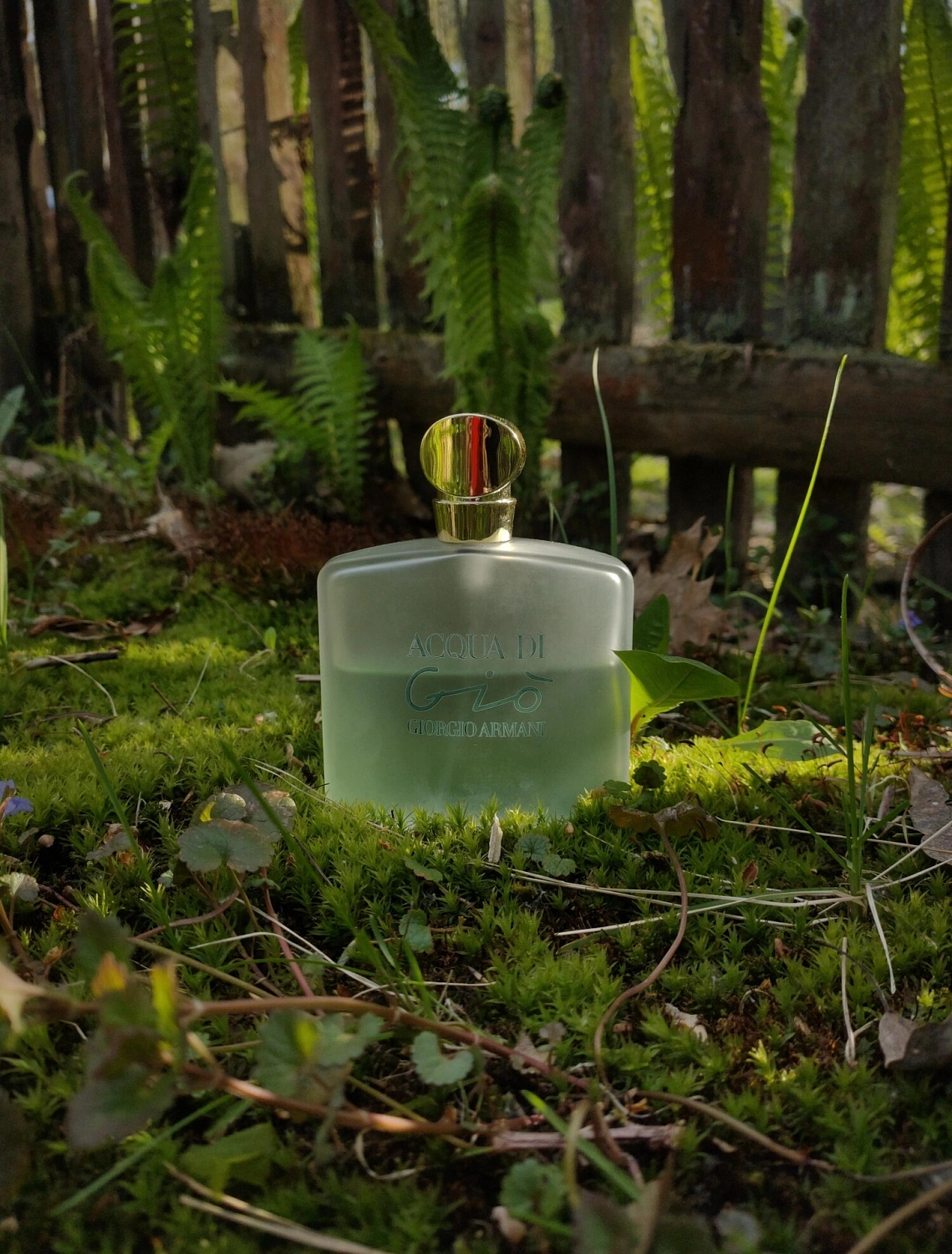 Armani Acqua di Gio