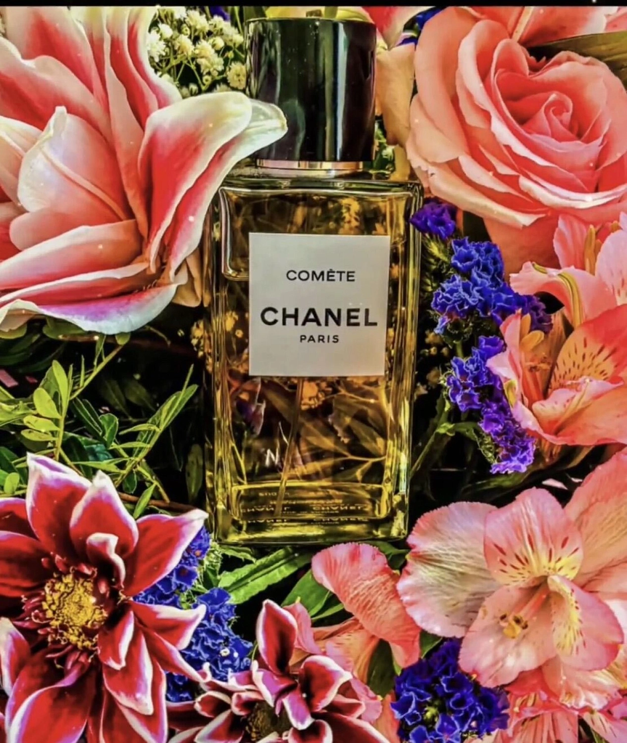 Chanel Comete