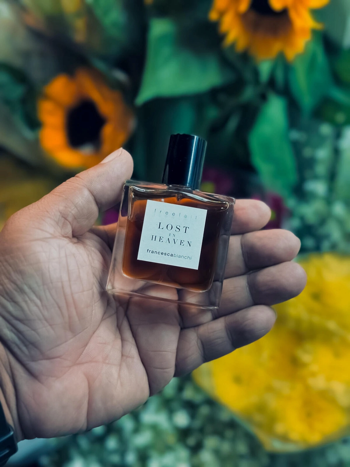 Francesca Bianchi Lost In Heaven