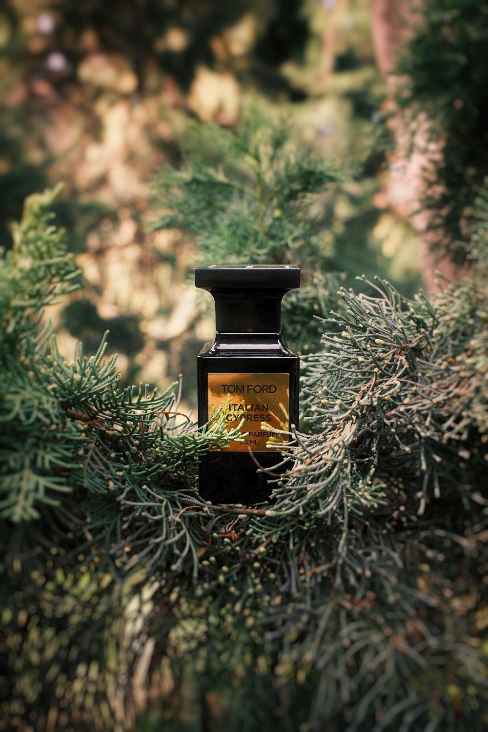 Tom Ford Italian Cypress