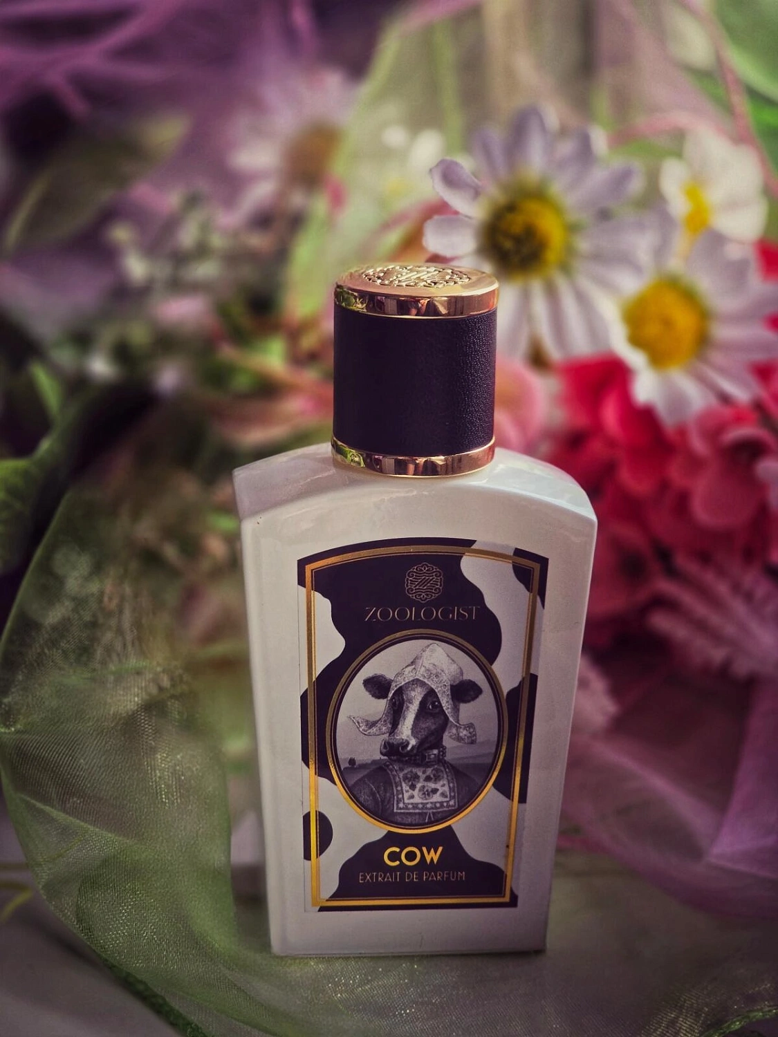 Zoologist Perfumes Cow