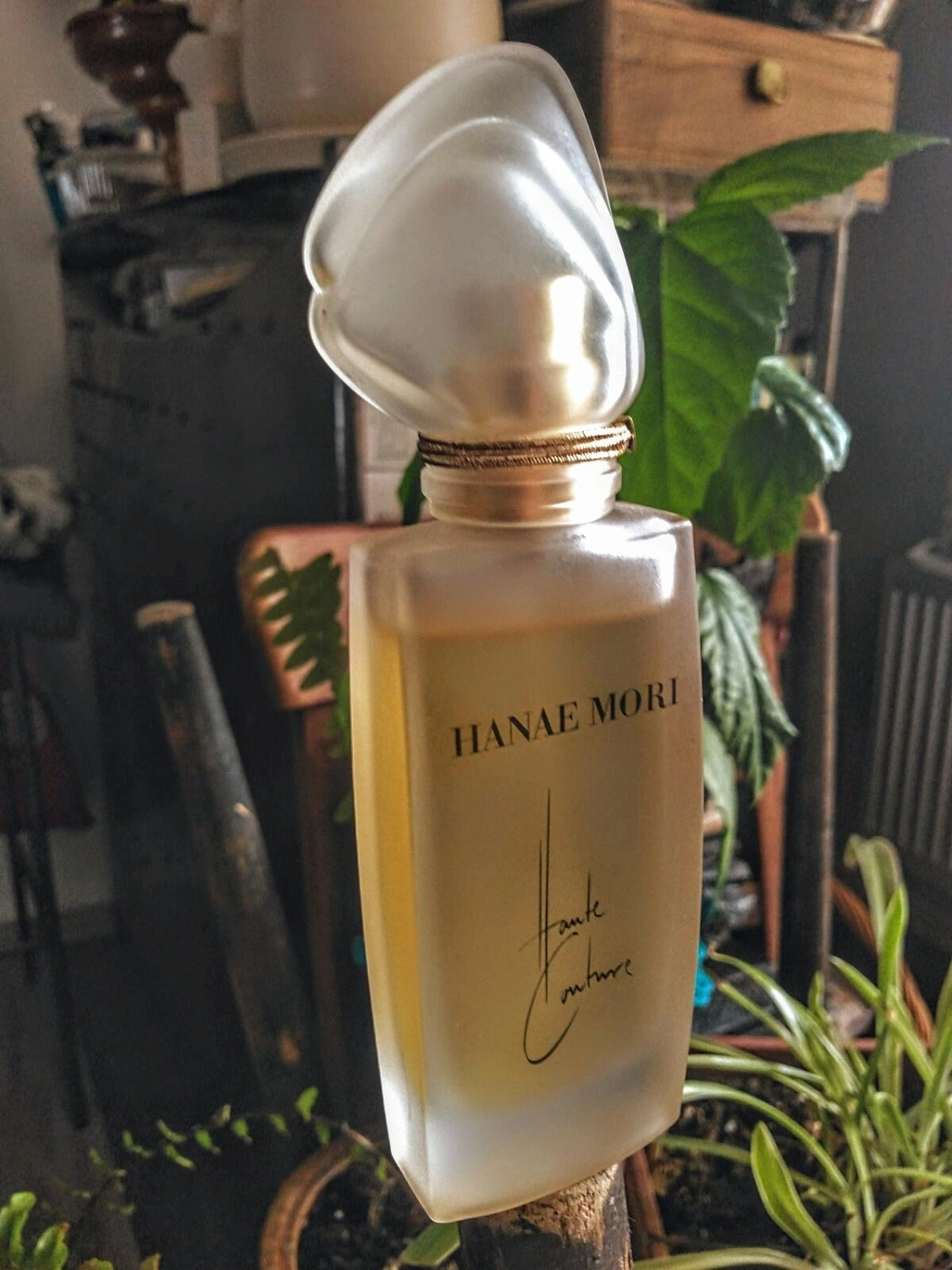 Hanae Mori Haute Couture