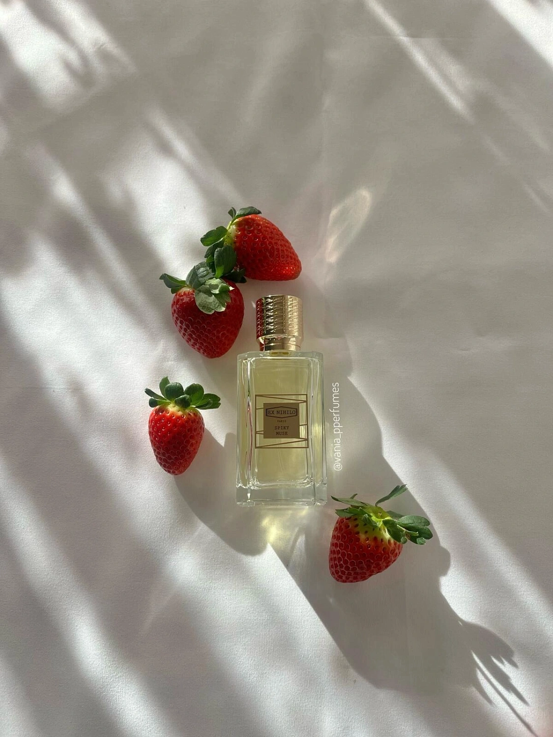 Ex Nihilo Spiky Muse