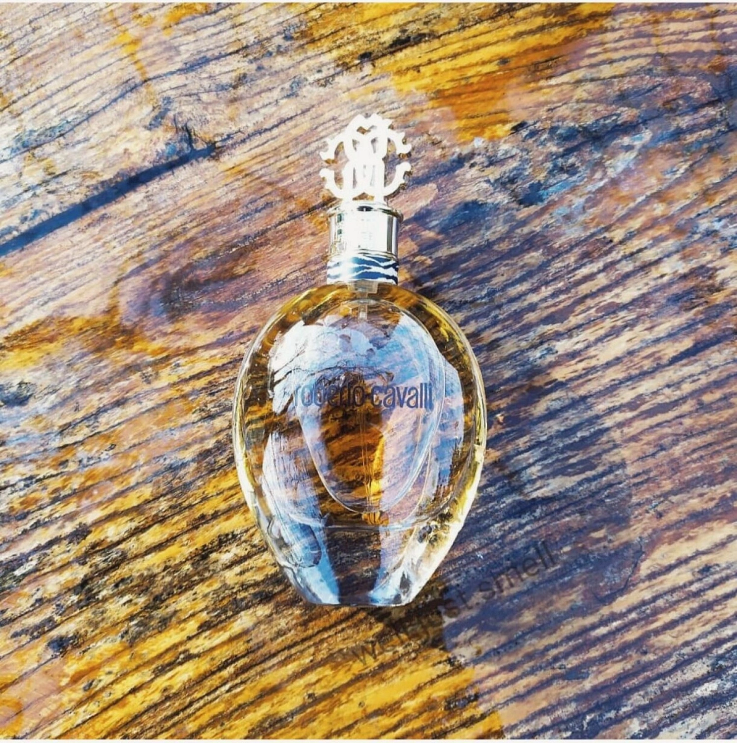 Roberto Cavalli Eau de Parfum 2012 (Signature)