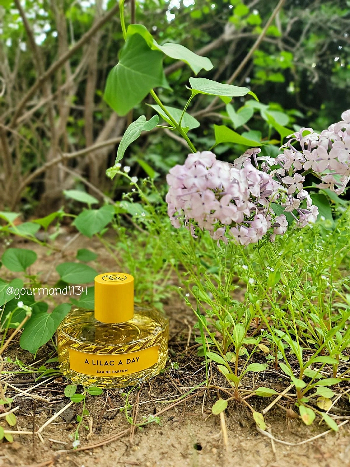 Vilhelm Parfumerie A Lilac a Day