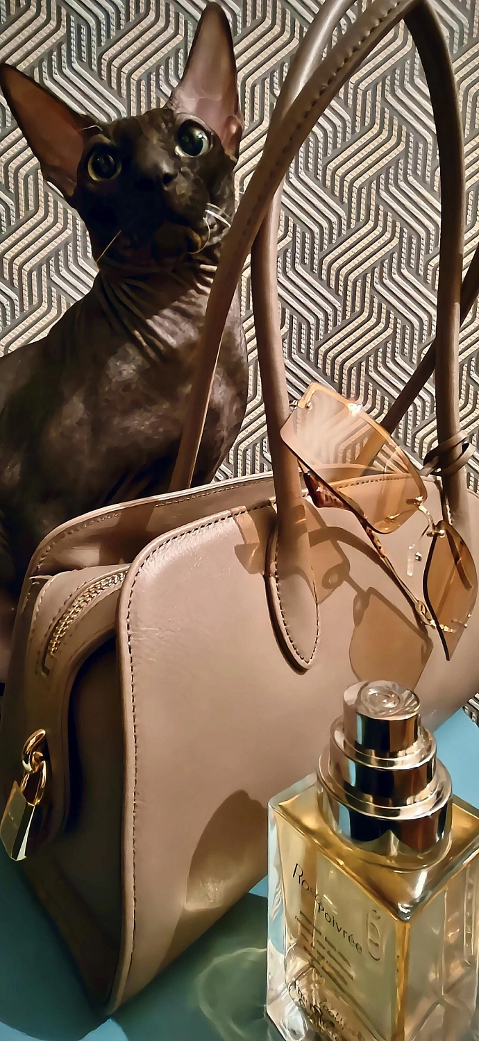 The Different Company Rose Poivree