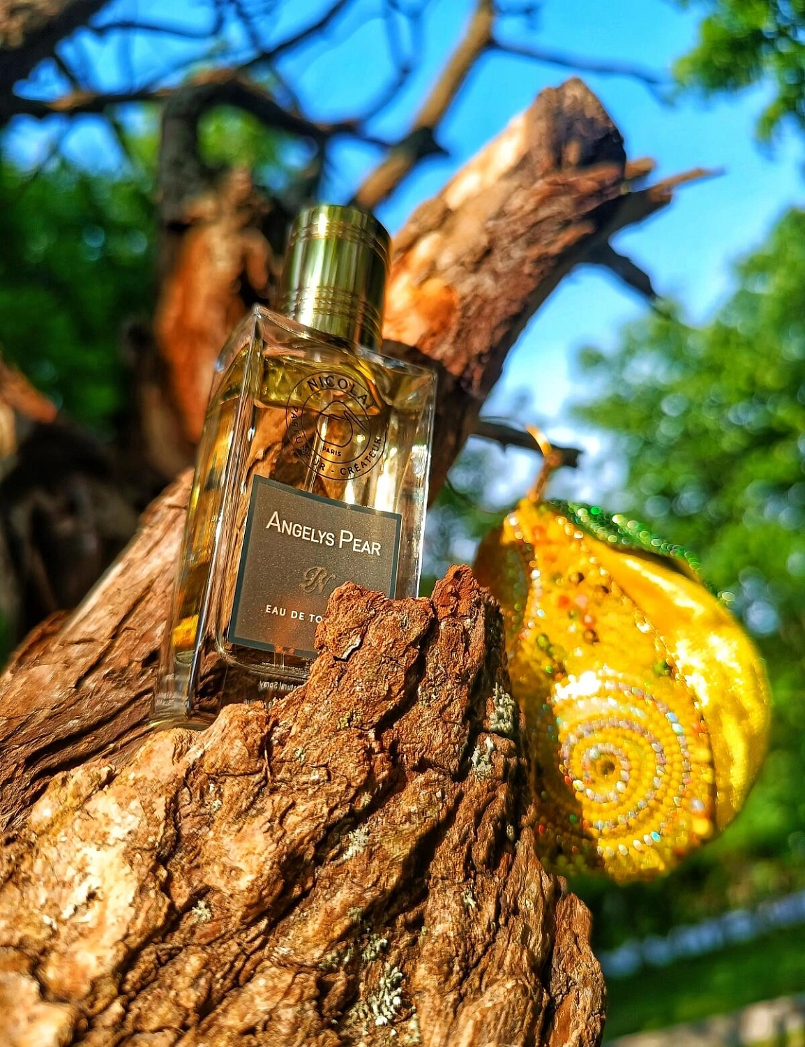 NICOLAI Angelys Pear