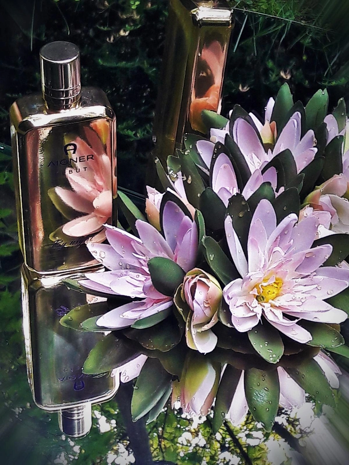 Aigner Debut by Night