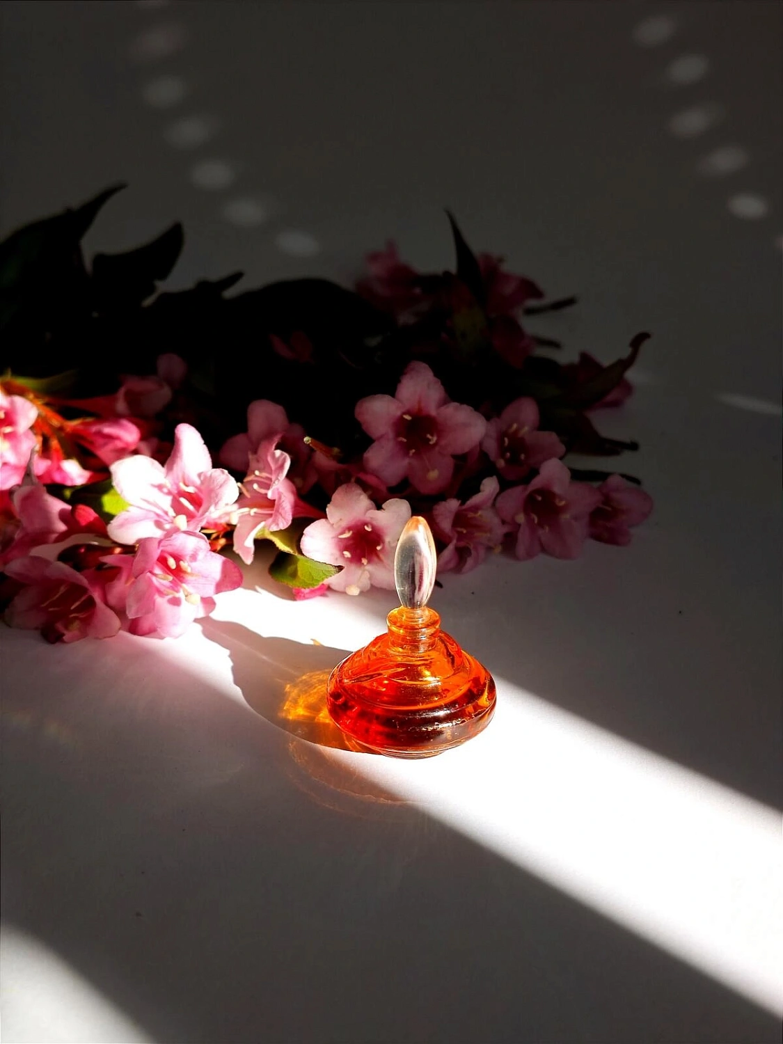 Ted Lapidus Fantasme