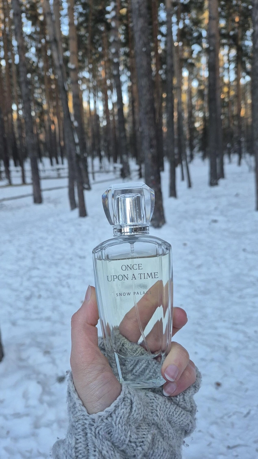 Brocard Once Upon a Time Снежный Дворец