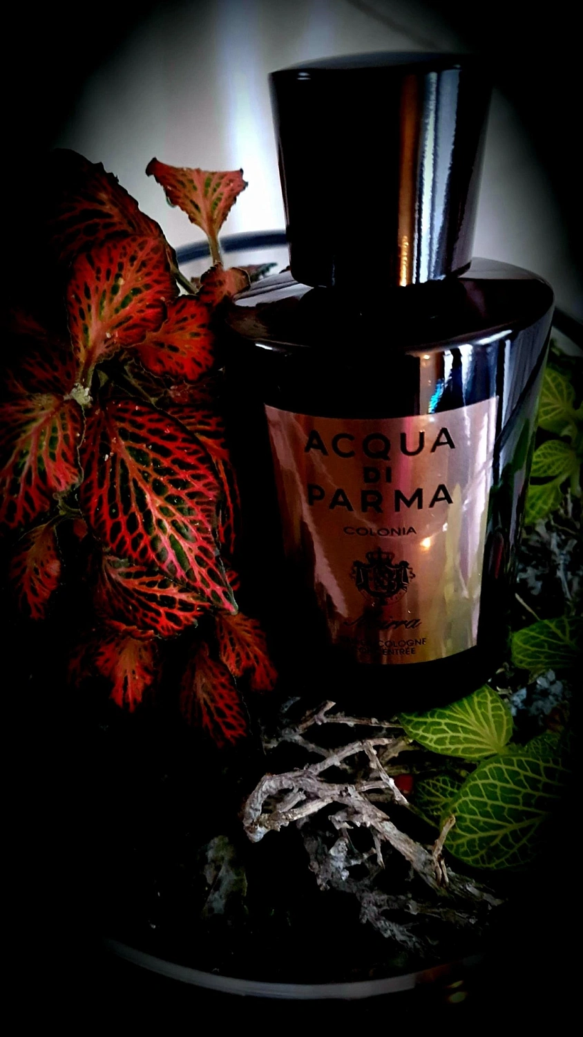 Acqua di Parma Colonia Mirra