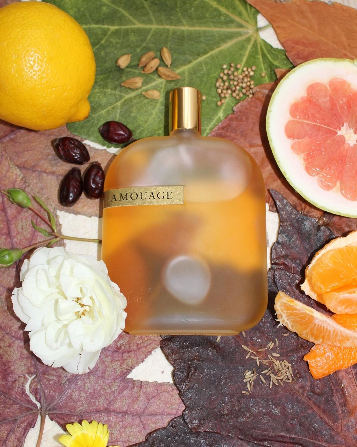 Amouage The Library Collection Opus IV