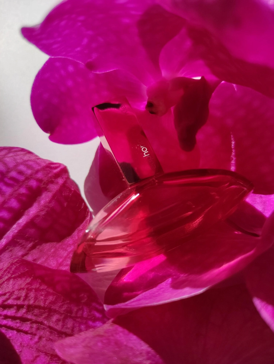 Calvin Klein Euphoria Magnetic Elixir